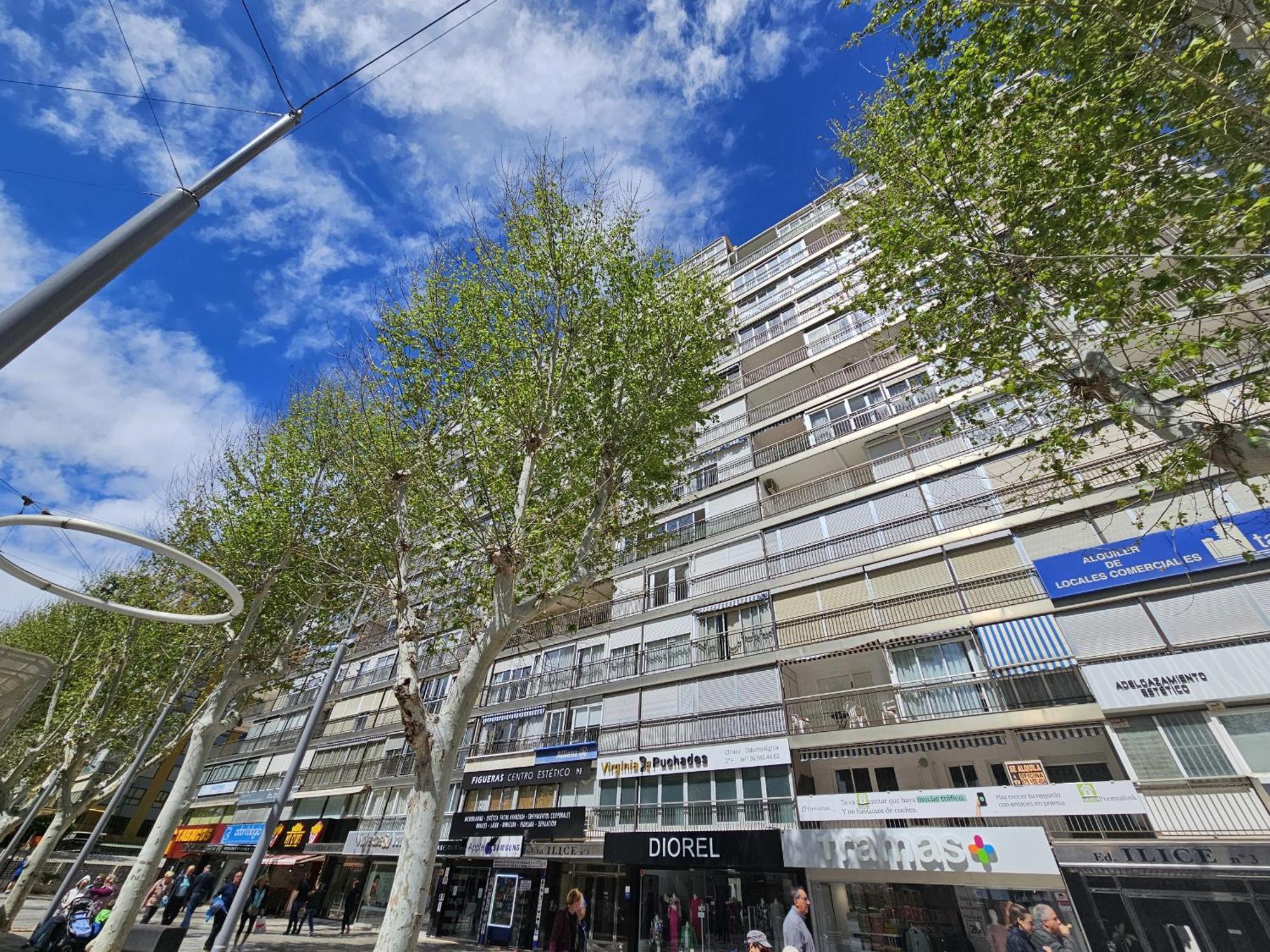 Apartamento Ilice 9 If Benidorm Eksteriør billede